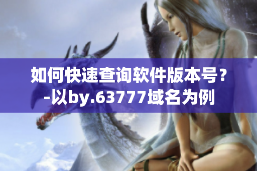 如何快速查询软件版本号？-以by.63777域名为例