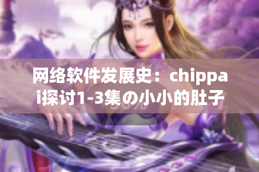 网络软件发展史：chippai探讨1-3集の小小的肚子