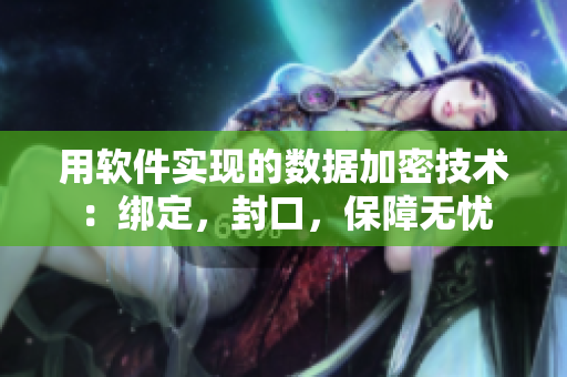 用软件实现的数据加密技术：绑定，封口，保障无忧