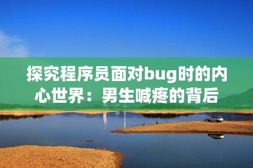 探究程序员面对bug时的内心世界：男生喊疼的背后