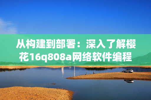 从构建到部署：深入了解樱花16q808a网络软件编程流程