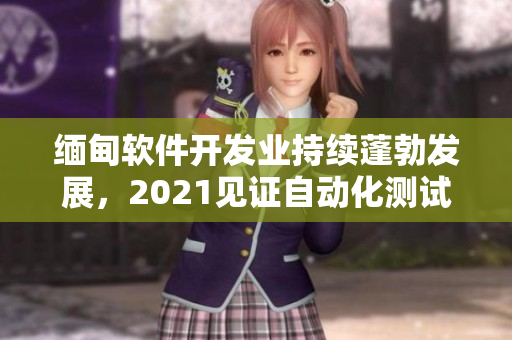 缅甸软件开发业持续蓬勃发展，2021见证自动化测试工具应用广泛