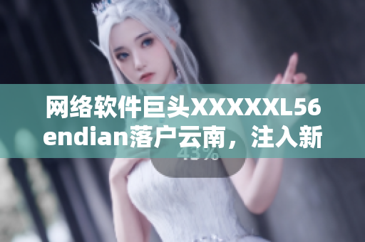 网络软件巨头XXXXXL56endian落户云南，注入新动力