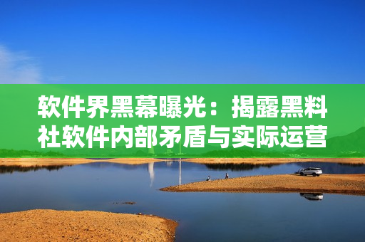 软件界黑幕曝光：揭露黑料社软件内部矛盾与实际运营情况