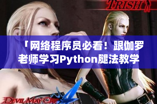 「网络程序员必看！跟伽罗老师学习Python腿法教学视频」