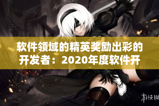 软件领域的精英奖励出彩的开发者：2020年度软件开发者奖