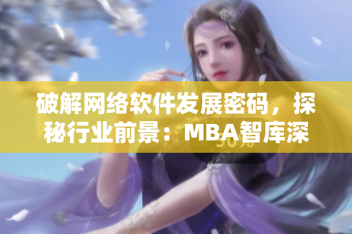 破解网络软件发展密码，探秘行业前景：MBA智库深度分析