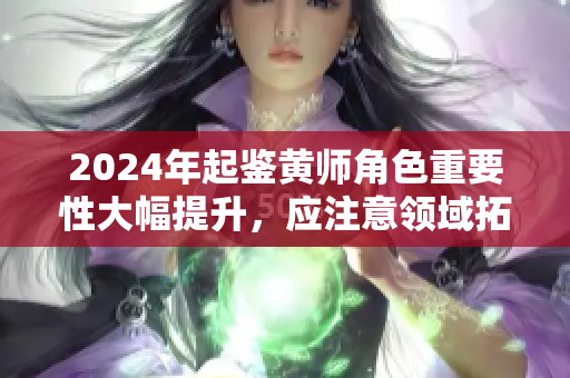 2024年起鉴黄师角色重要性大幅提升，应注意领域拓展和社会责任