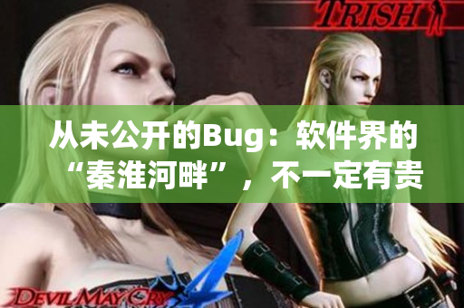 从未公开的Bug：软件界的“秦淮河畔”，不一定有贵妃？