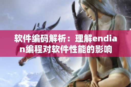 软件编码解析：理解endian编程对软件性能的影响