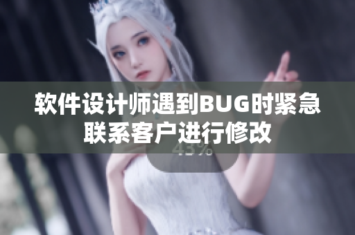 软件设计师遇到BUG时紧急联系客户进行修改