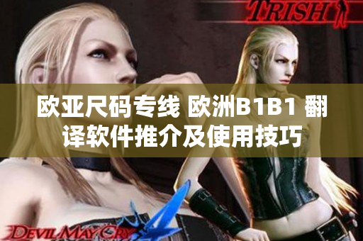 欧亚尺码专线 欧洲B1B1 翻译软件推介及使用技巧