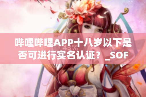 哔哩哔哩APP十八岁以下是否可进行实名认证？_SOFT新解