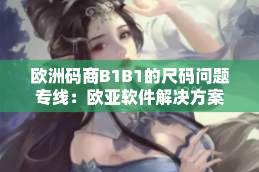 欧洲码商B1B1的尺码问题专线：欧亚软件解决方案