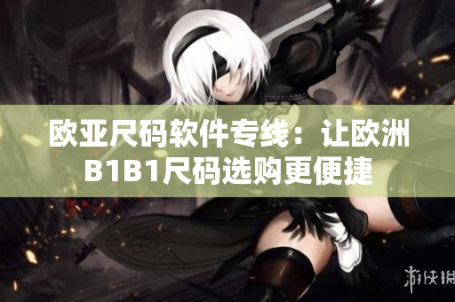 欧亚尺码软件专线：让欧洲B1B1尺码选购更便捷