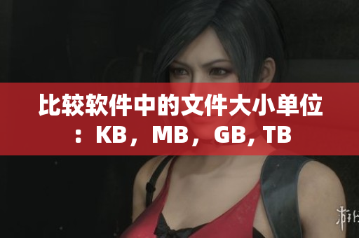 比较软件中的文件大小单位：KB，MB，GB, TB