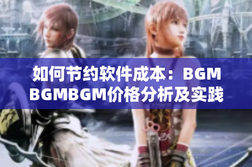 如何节约软件成本：BGMBGMBGM价格分析及实践建议