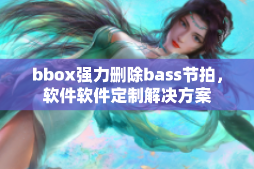 bbox强力删除bass节拍，软件软件定制解决方案