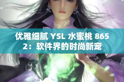 优雅细腻 YSL 水蜜桃 8652：软件界的时尚新宠