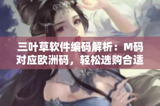 三叶草软件编码解析：M码对应欧洲码，轻松选购合适尺寸