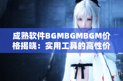 成熟软件BGMBGMBGM价格揭晓：实用工具的高性价比之选