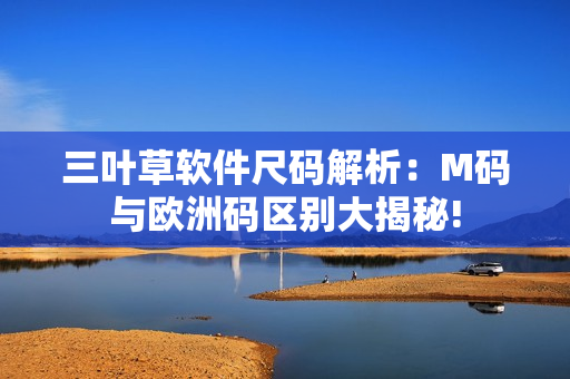 三叶草软件尺码解析：M码与欧洲码区别大揭秘!