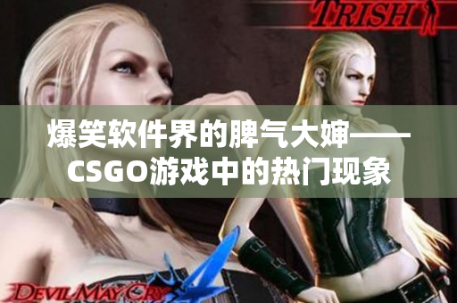 爆笑软件界的脾气大婶——CSGO游戏中的热门现象