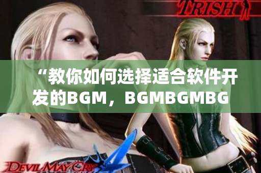 “教你如何选择适合软件开发的BGM，BGMBGMBGM价格全盘点”