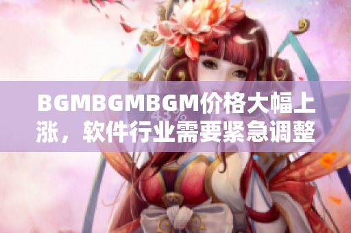 BGMBGMBGM价格大幅上涨，软件行业需要紧急调整成本控制策略