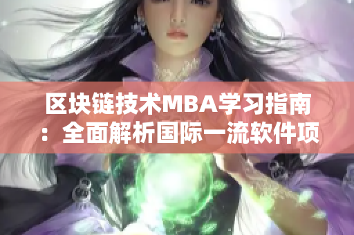 区块链技术MBA学习指南：全面解析国际一流软件项目管理实践