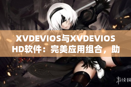 XVDEVIOS与XVDEVIOSHD软件：完美应用组合，助力您工作更高效