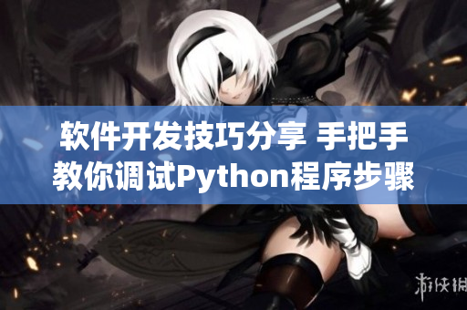 软件开发技巧分享 手把手教你调试Python程序步骤