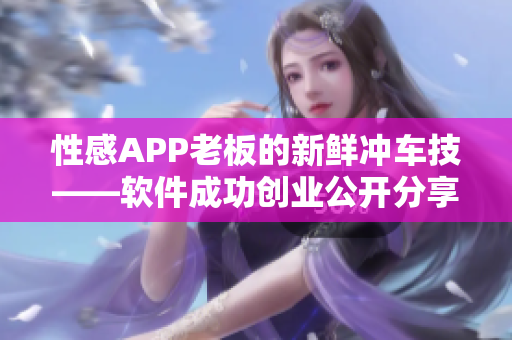 性感APP老板的新鲜冲车技——软件成功创业公开分享