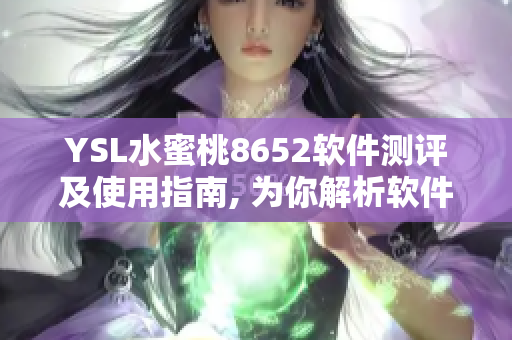 YSL水蜜桃8652软件测评及使用指南, 为你解析软件性能和功能