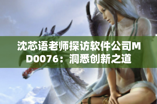 沈芯语老师探访软件公司MD0076：洞悉创新之道