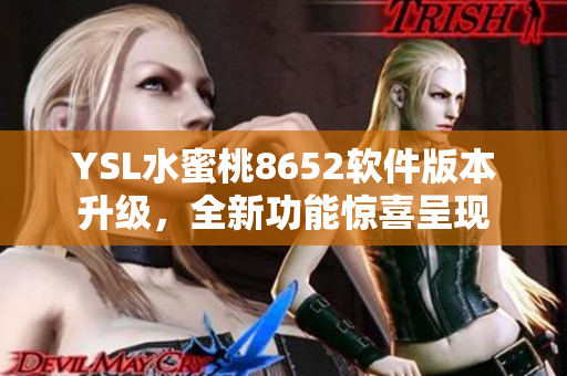 YSL水蜜桃8652软件版本升级，全新功能惊喜呈现