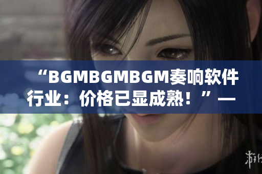 “BGMBGMBGM奏响软件行业：价格已显成熟！”——一个编辑的体验