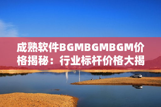 成熟软件BGMBGMBGM价格揭秘：行业标杆价格大揭秘