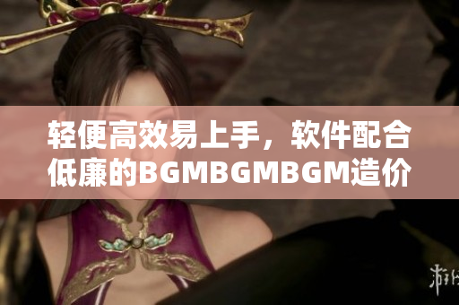 轻便高效易上手，软件配合低廉的BGMBGMBGM造价格化解烦恼