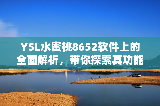 YSL水蜜桃8652软件上的全面解析，带你探索其功能和性能