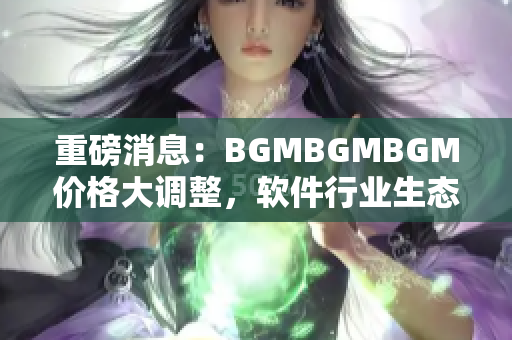 重磅消息：BGMBGMBGM价格大调整，软件行业生态再次升级！