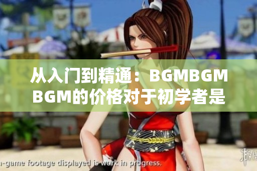 从入门到精通：BGMBGMBGM的价格对于初学者是否值得投资？