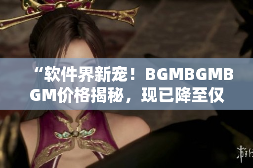 “软件界新宠！BGMBGMBGM价格揭秘，现已降至仅需数百元！”