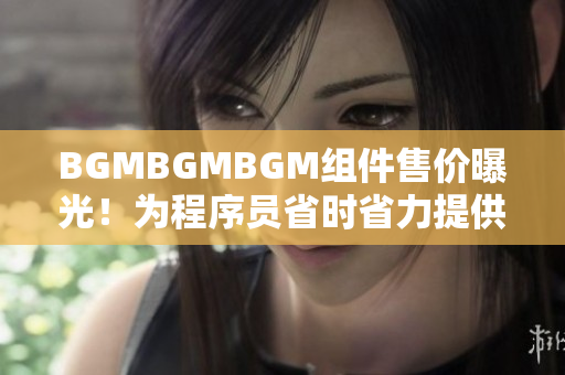 BGMBGMBGM组件售价曝光！为程序员省时省力提供最优软件解决方案