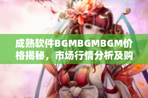 成熟软件BGMBGMBGM价格揭秘，市场行情分析及购买指南