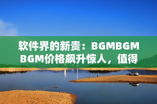 软件界的新贵：BGMBGMBGM价格飙升惊人，值得一探！