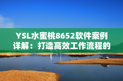 YSL水蜜桃8652软件案例详解：打造高效工作流程的秘诀