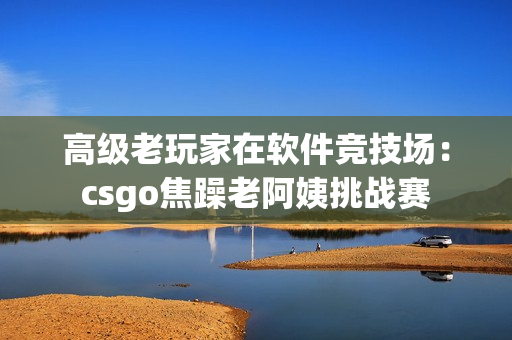 高级老玩家在软件竞技场：csgo焦躁老阿姨挑战赛