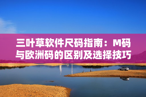 三叶草软件尺码指南：M码与欧洲码的区别及选择技巧