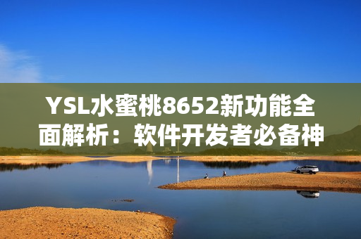 YSL水蜜桃8652新功能全面解析：软件开发者必备神器